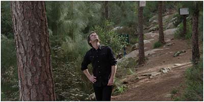 My Tree trailer edited by Geoff Klein, directed by Jason Sherman